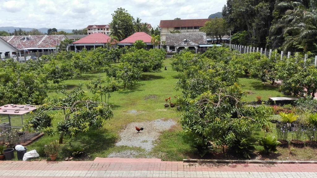 Harum Manis Farm stay *