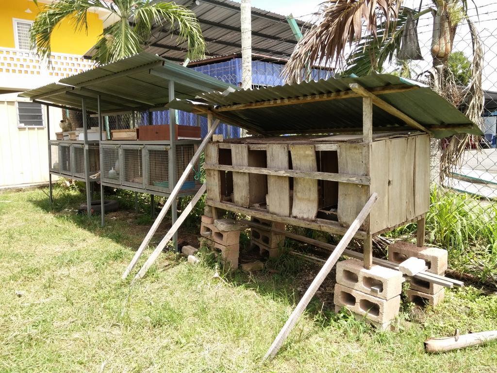 Harum Manis Farm stay Kangar