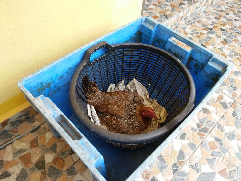 Harum Manis Kangar